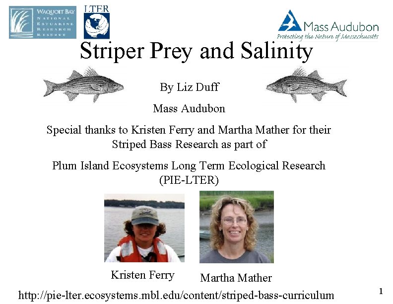 Striper Prey and Salinity By Liz Duff Mass Audubon Special thanks to Kristen Ferry
