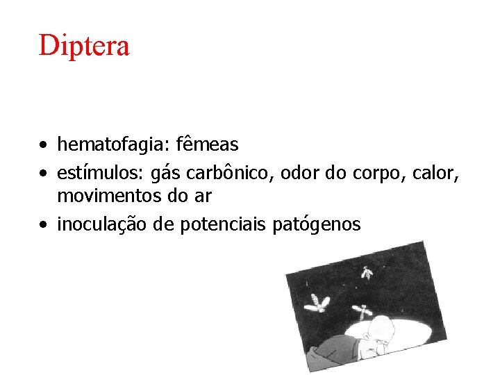 Diptera • hematofagia: fêmeas • estímulos: gás carbônico, odor do corpo, calor, movimentos do Diptera • hematofagia: fêmeas • estímulos: gás carbônico, odor do corpo, calor, movimentos do