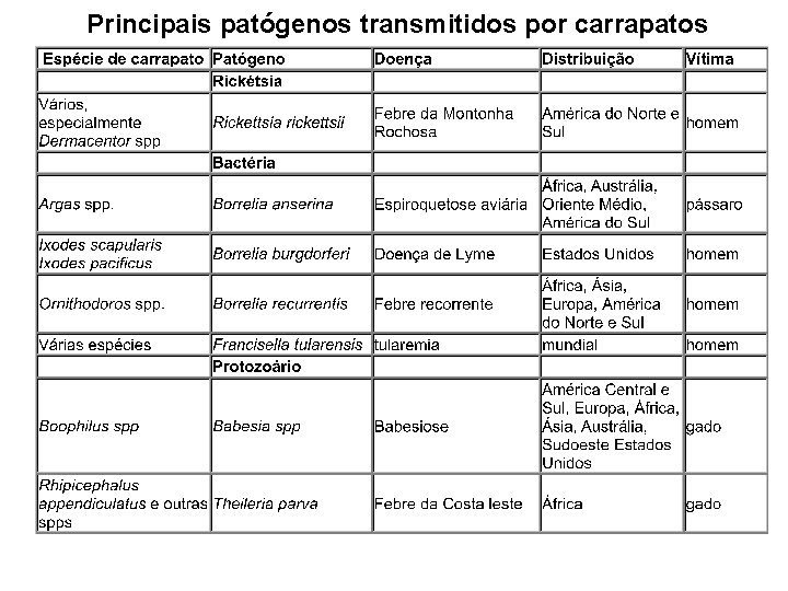 Principais patógenos transmitidos por carrapatos Principais patógenos transmitidos por carrapatos