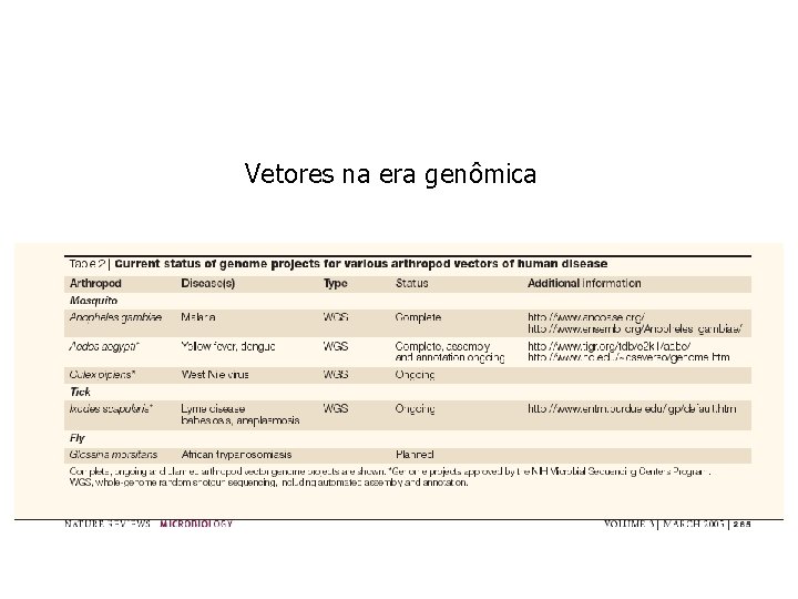Vetores na era genômica Vetores na era genômica