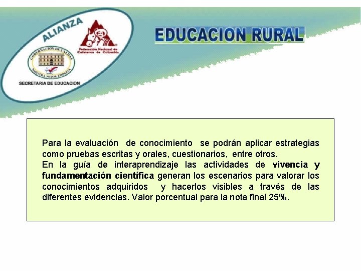 Para la evaluación de conocimiento se podrán aplicar estrategias como pruebas escritas y orales,