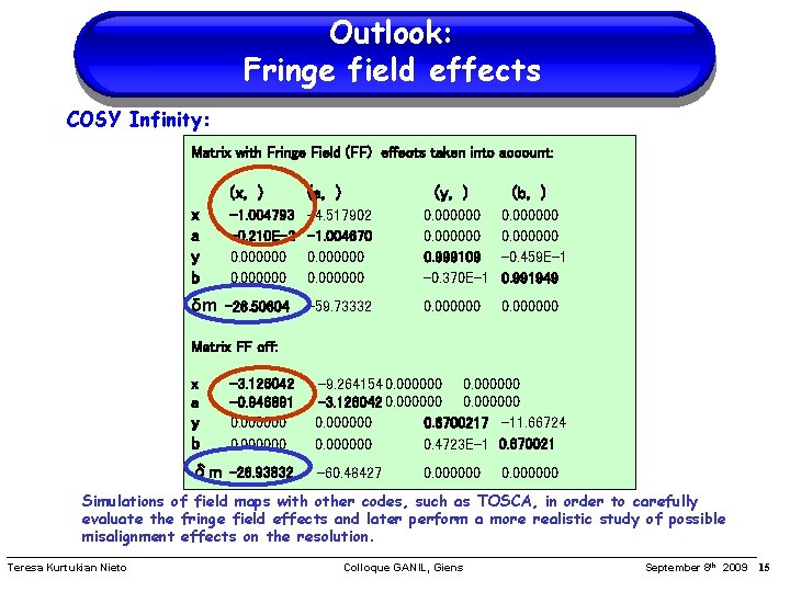 Outlook: Fringe field effects COSY Infinity: Matrix with Fringe Field (FF) effects taken into