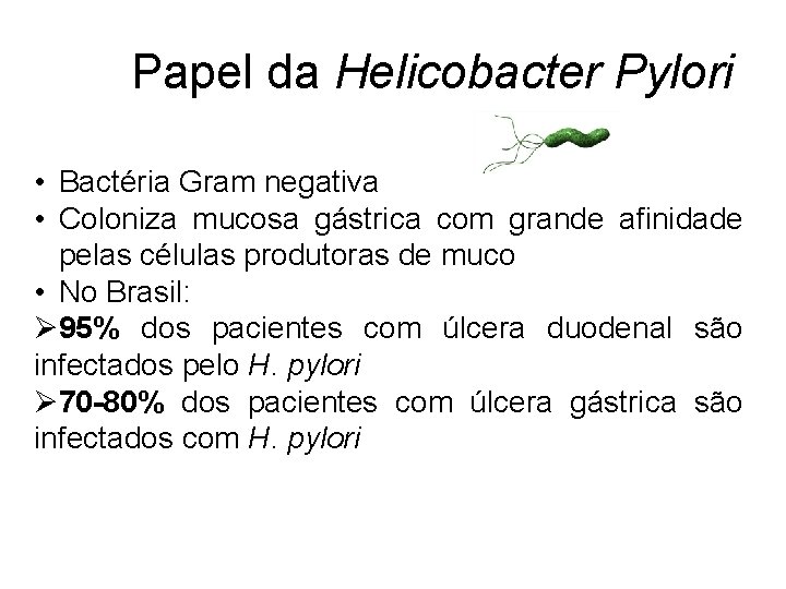 Papel da Helicobacter Pylori • Bactéria Gram negativa • Coloniza mucosa gástrica com grande
