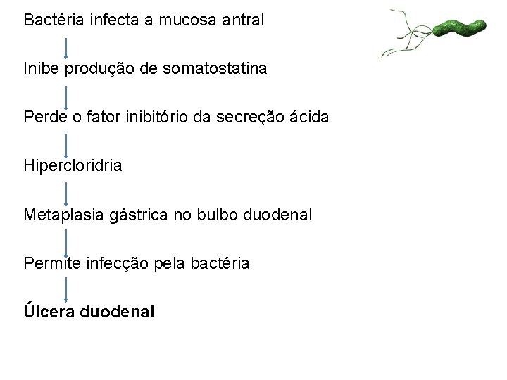 Bactéria infecta a mucosa antral Inibe produção de somatostatina Perde o fator inibitório da