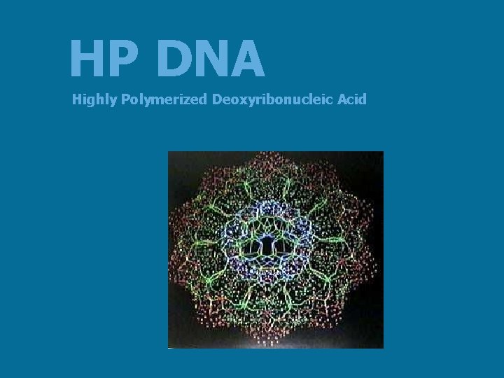 HP DNA Highly Polymerized Deoxyribonucleic Acid 