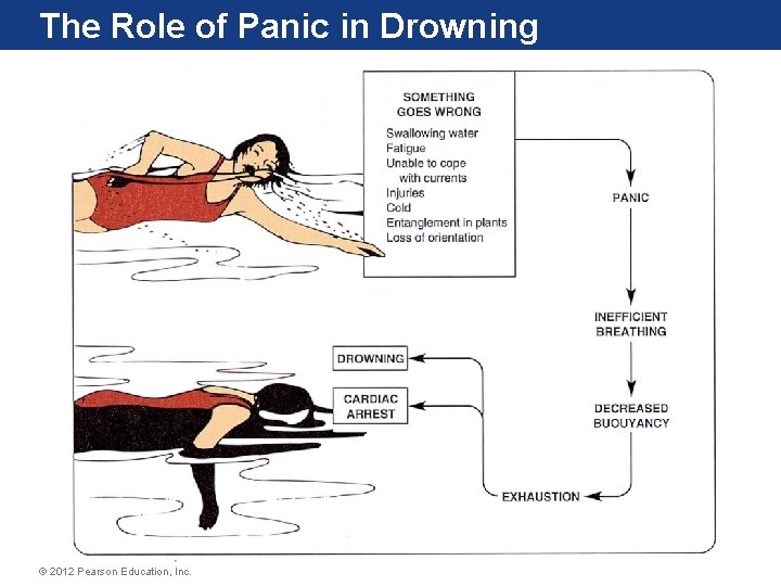 The Role of Panic in Drowning © 2012 Pearson Education, Inc. The Role of Panic in Drowning © 2012 Pearson Education, Inc.