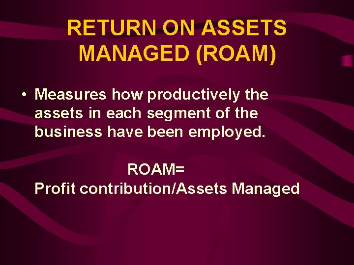 RETURN ON ASSETS MANAGED (ROAM) • Measures how productively the assets in each segment