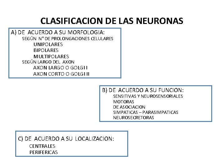 CLASIFICACION DE LAS NEURONAS A) DE ACUERDO A SU MORFOLOGIA: SEGÚN N° DE PROLONGACIONES