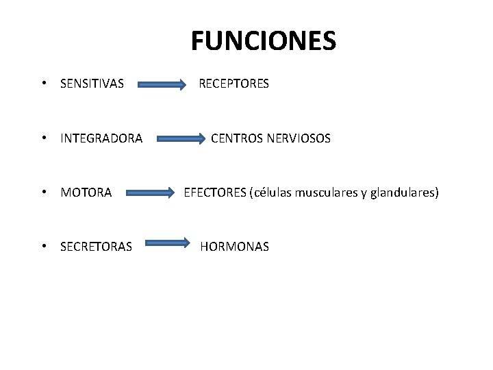 FUNCIONES • SENSITIVAS • INTEGRADORA • MOTORA • SECRETORAS RECEPTORES CENTROS NERVIOSOS EFECTORES (células
