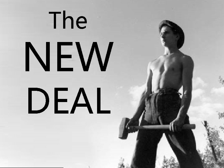 The NEW DEAL 