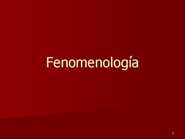 Fenomenología 1 