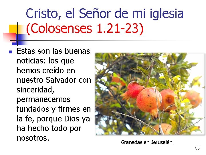 Cristo, el Señor de mi iglesia (Colosenses 1. 21 -23) n Estas son las