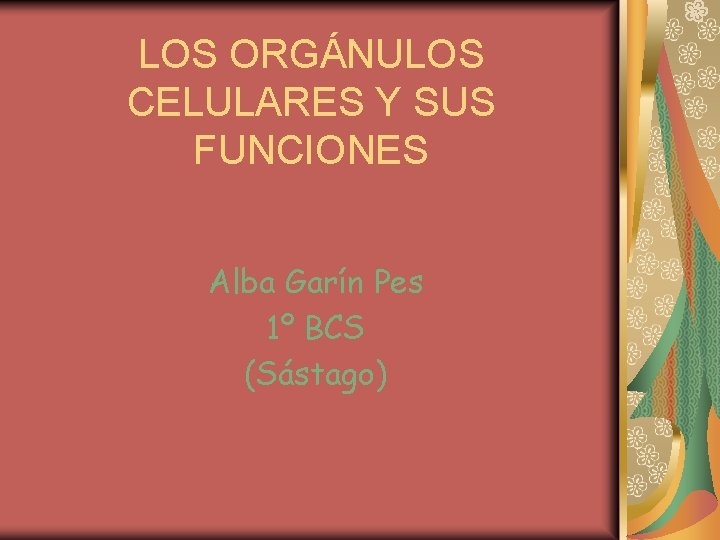 LOS ORGÁNULOS CELULARES Y SUS FUNCIONES Alba Garín Pes 1º BCS (Sástago) 