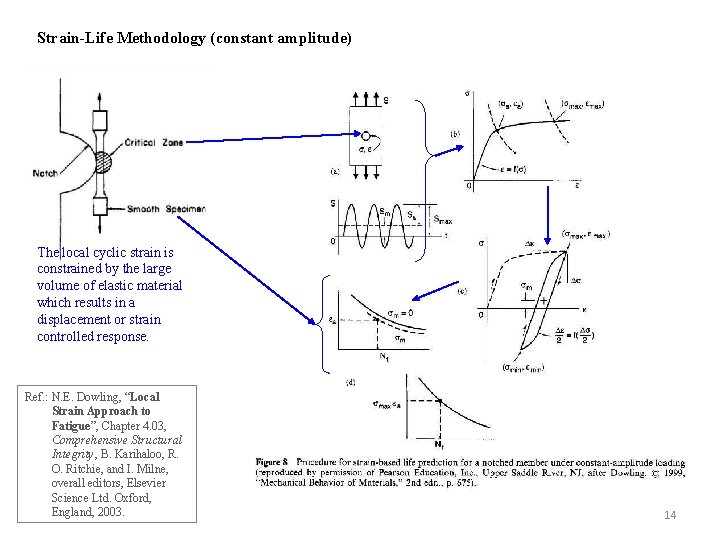 Strain-Life Methodology (constant amplitude) The local cyclic strain is constrained by the large volume