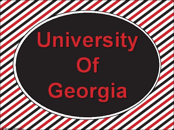 University Of Georgia © Brain Wrinkles 
