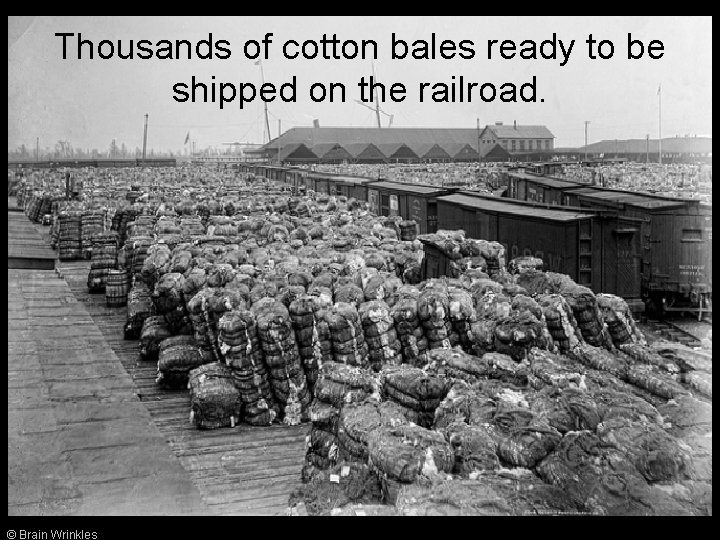 Thousands of cotton bales ready to be shipped on the railroad. © Brain Wrinkles