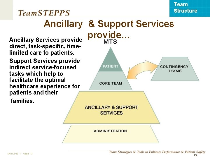 Team Structure Ancillary & Support Services provide… Ancillary Services provide direct, task-specific, timelimited care