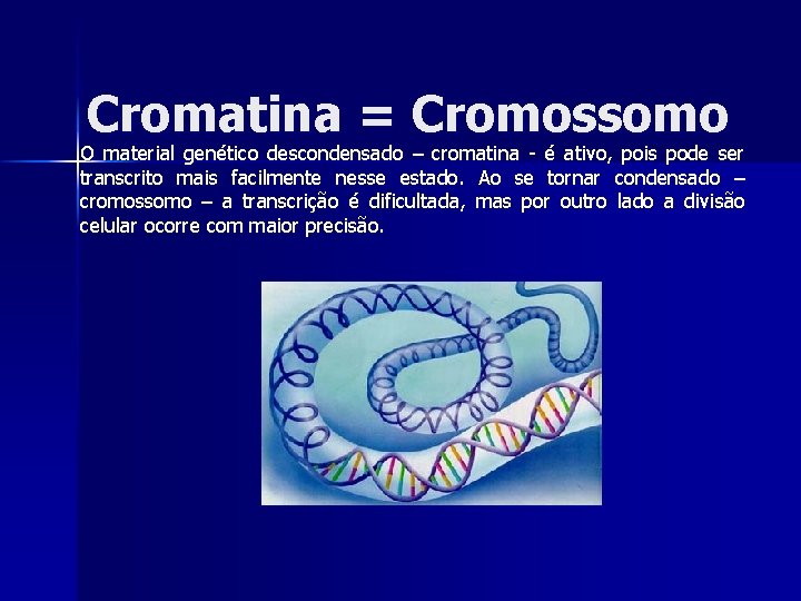 Cromatina = Cromossomo O material genético descondensado – cromatina - é ativo, pois pode