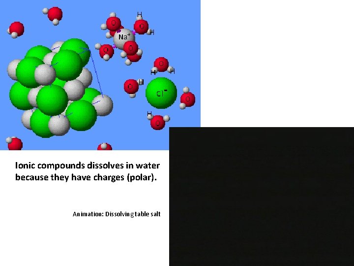 Ionic compounds dissolves in water because they have charges (polar). Animation: Dissolving table salt