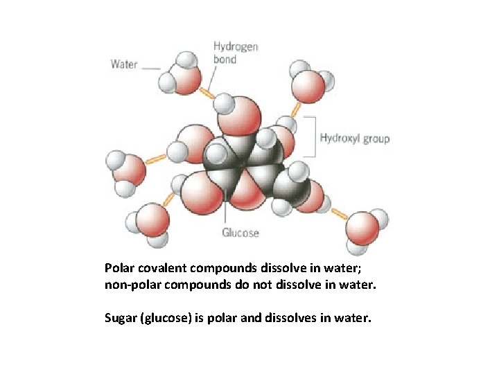 Polar covalent compounds dissolve in water; non-polar compounds do not dissolve in water. Sugar