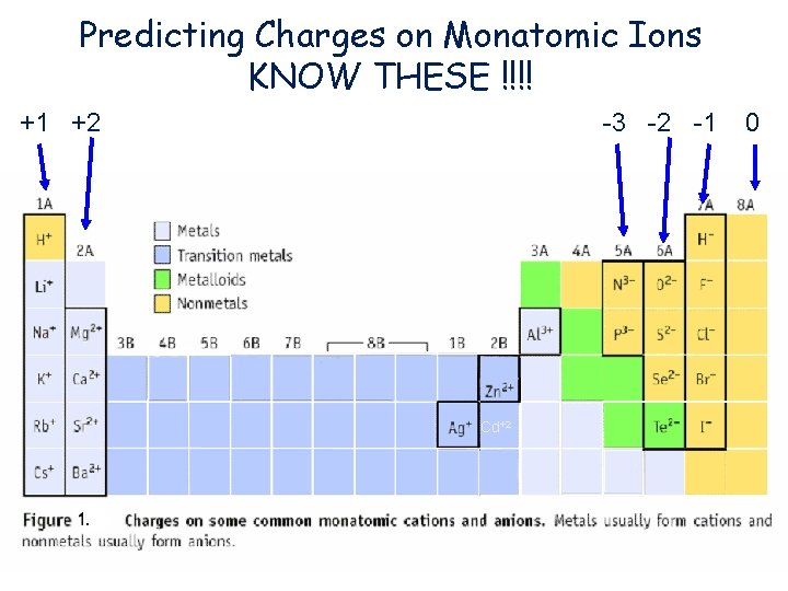 Predicting Charges on Monatomic Ions KNOW THESE !!!! +1 +2 -3 -2 -1 Cd+2