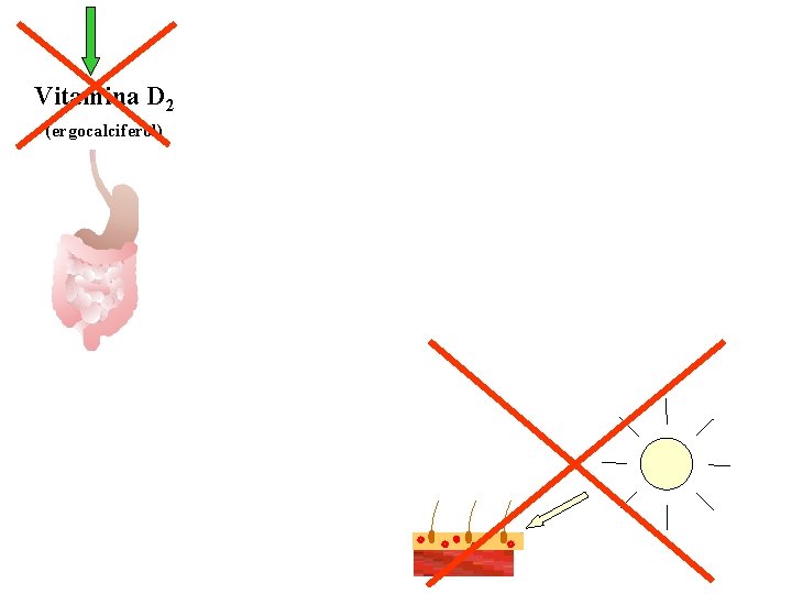 Vitamina D 2 (ergocalciferol) Vitamina D 2 (ergocalciferol)