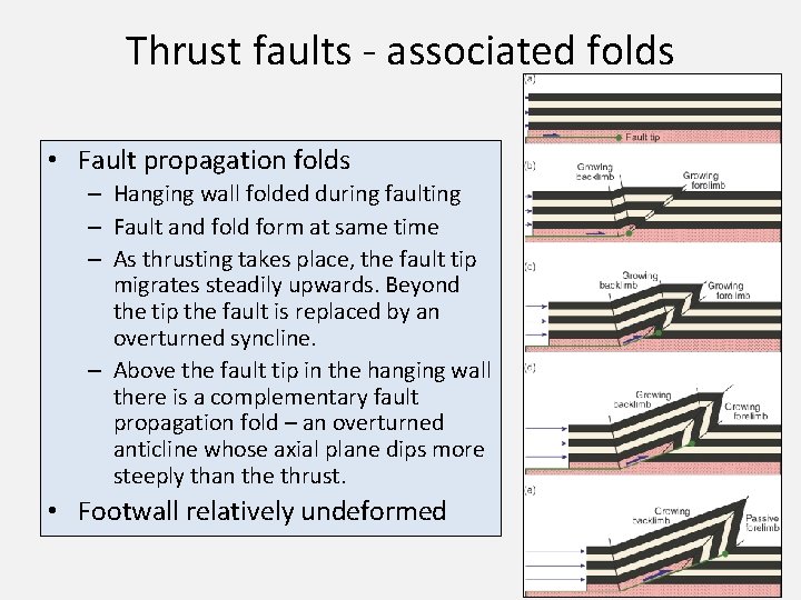 Thrust faults - associated folds • Fault propagation folds – Hanging wall folded during