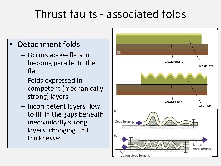 Thrust faults - associated folds • Detachment folds – Occurs above flats in bedding