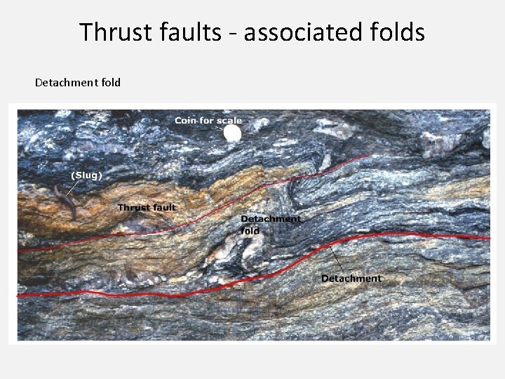 Thrust faults - associated folds Detachment fold 