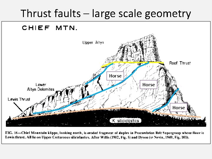 Thrust faults – large scale geometry Horse 