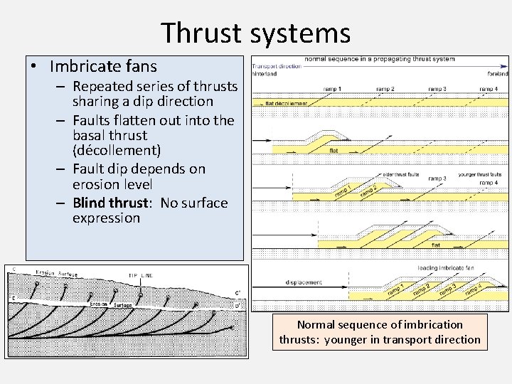 Thrust systems • Imbricate fans – Repeated series of thrusts sharing a dip direction