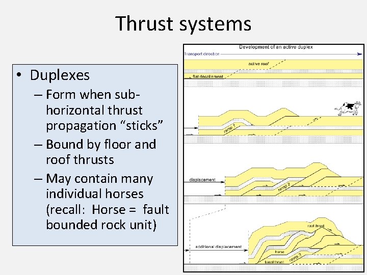 Thrust systems • Duplexes – Form when subhorizontal thrust propagation “sticks” – Bound by