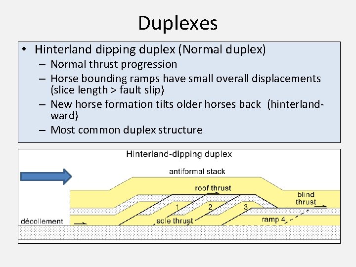 Duplexes • Hinterland dipping duplex (Normal duplex) – Normal thrust progression – Horse bounding