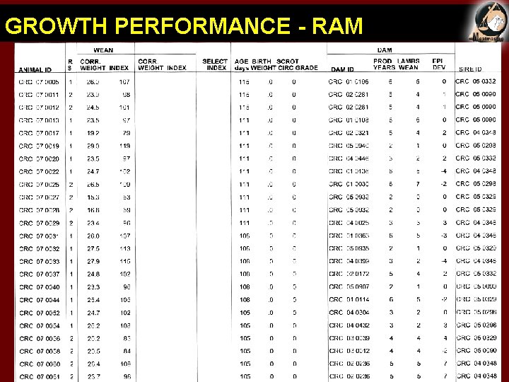 GROWTH PERFORMANCE - RAM 