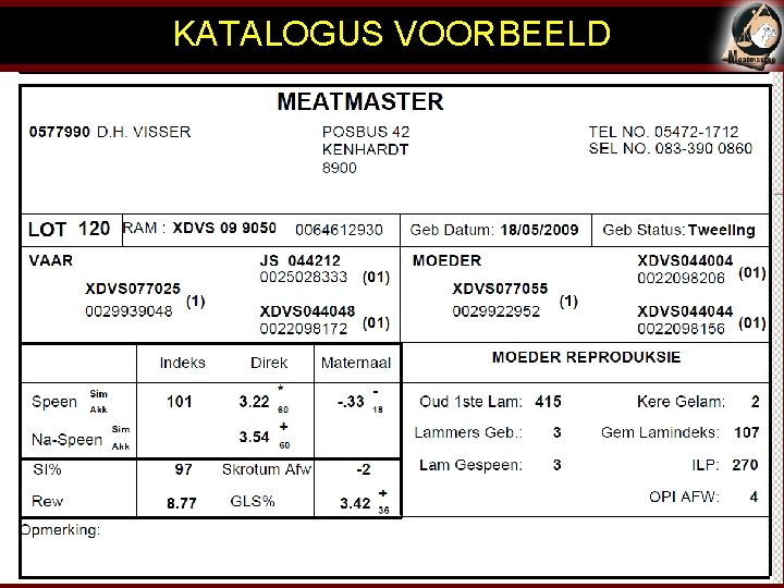 KATALOGUS VOORBEELD 