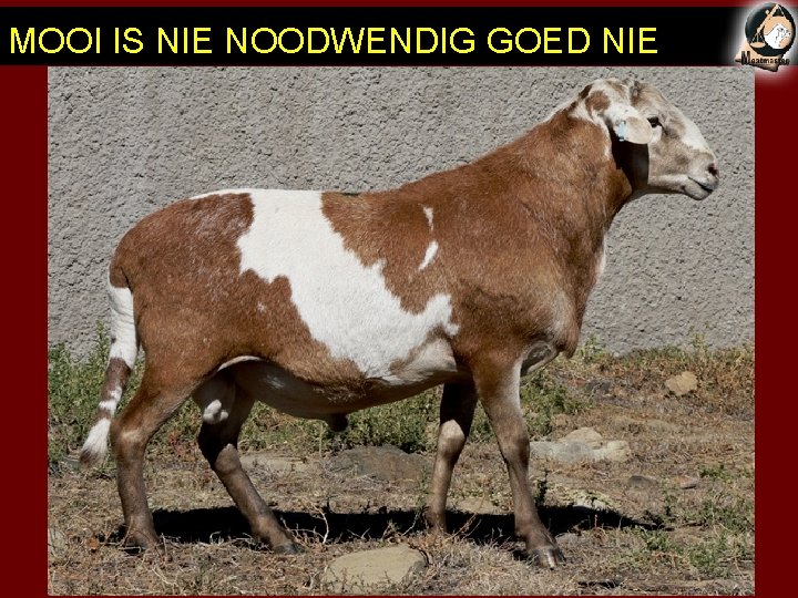 MOOI IS NIE NOODWENDIG GOED NIE 