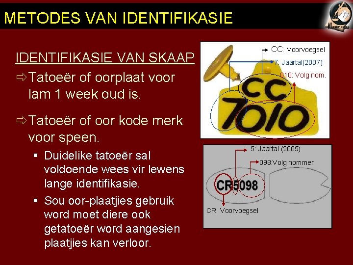 METODES VAN IDENTIFIKASIE CC: Voorvoegsel IDENTIFIKASIE VAN SKAAP ð Tatoeër of oorplaat voor lam