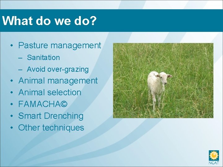 What do we do? • Pasture management – Sanitation – Avoid over-grazing • •