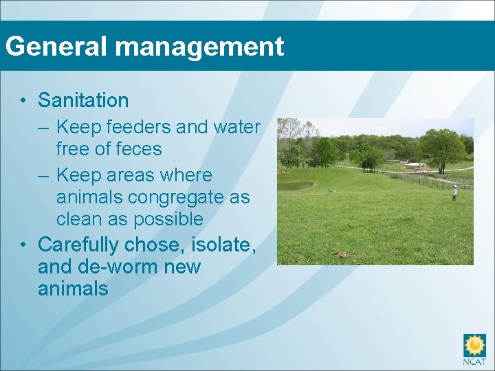 General management • Sanitation – Keep feeders and water free of feces – Keep