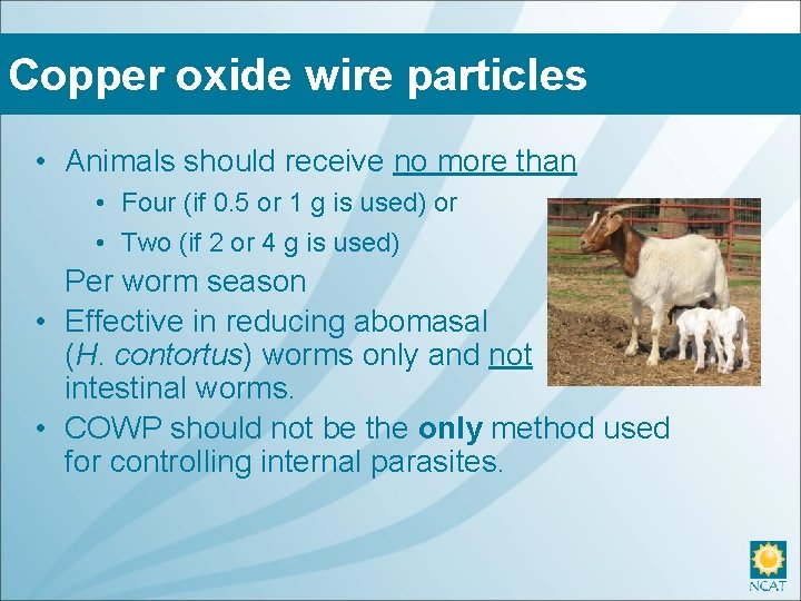 Copper oxide wire particles • Animals should receive no more than • Four (if