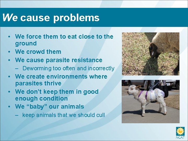 We cause problems • We force them to eat close to the ground •