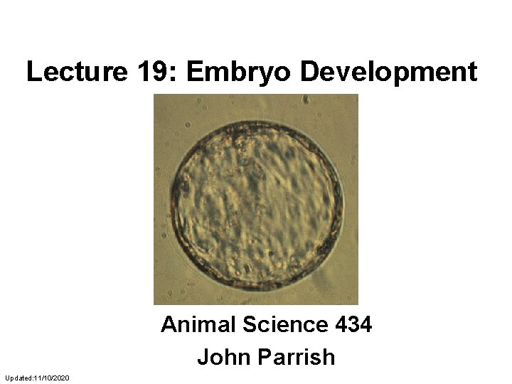 Lecture 19: Embryo Development Animal Science 434 John Parrish Updated: 11/10/2020 