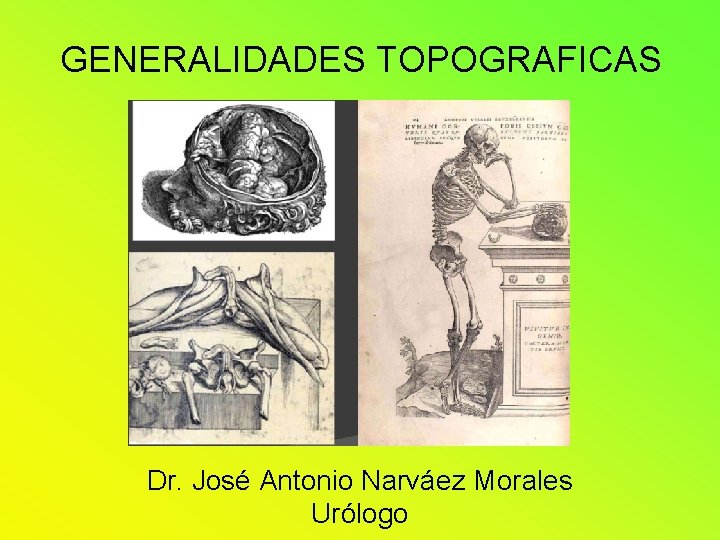 GENERALIDADES TOPOGRAFICAS Dr. José Antonio Narváez Morales Urólogo GENERALIDADES TOPOGRAFICAS Dr. José Antonio Narváez Morales Urólogo