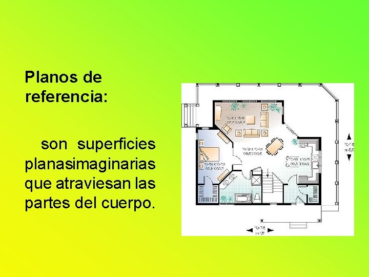 Planos de referencia: son superficies planasimaginarias que atraviesan las partes del cuerpo. Planos de referencia: son superficies planasimaginarias que atraviesan las partes del cuerpo.