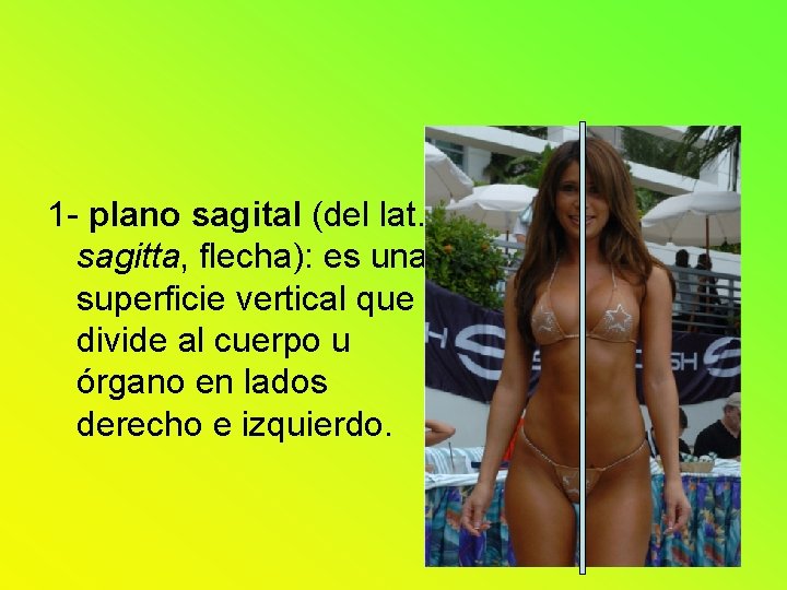 1 - plano sagital (del lat. sagitta, flecha): es una superficie vertical que divide 1 - plano sagital (del lat. sagitta, flecha): es una superficie vertical que divide