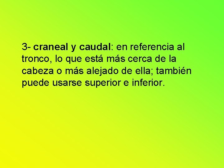 3 - craneal y caudal: en referencia al tronco, lo que está más cerca 3 - craneal y caudal: en referencia al tronco, lo que está más cerca