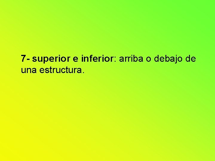7 - superior e inferior: arriba o debajo de una estructura. 7 - superior e inferior: arriba o debajo de una estructura.