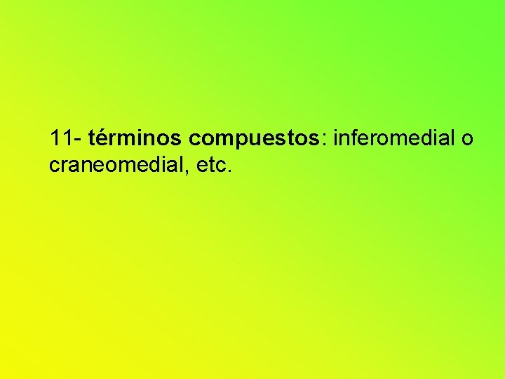 11 - términos compuestos: inferomedial o craneomedial, etc. 11 - términos compuestos: inferomedial o craneomedial, etc.