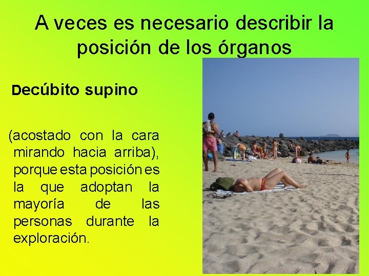 A veces es necesario describir la posición de los órganos Decúbito supino (acostado con A veces es necesario describir la posición de los órganos Decúbito supino (acostado con