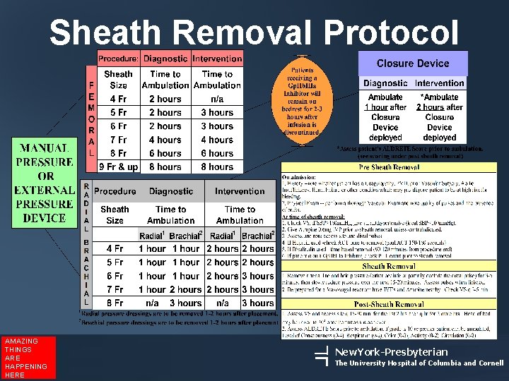 Sheath Removal Protocol AMAZING THINGS ARE HAPPENING HERE New. York-Presbyterian The University Hospital of